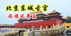 白嫩学生妹中国北京-东城古宫旅游风景区